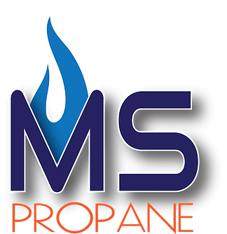 MSP Logo